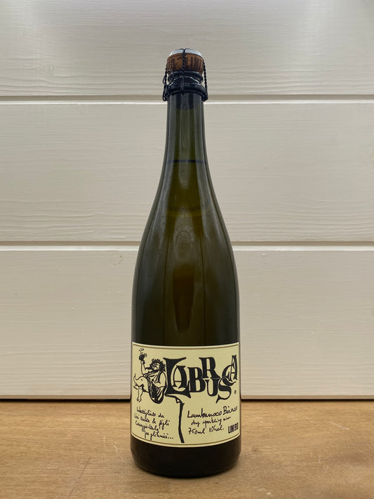 Lini 910 Lambrusco 'Labrusca' Bianco