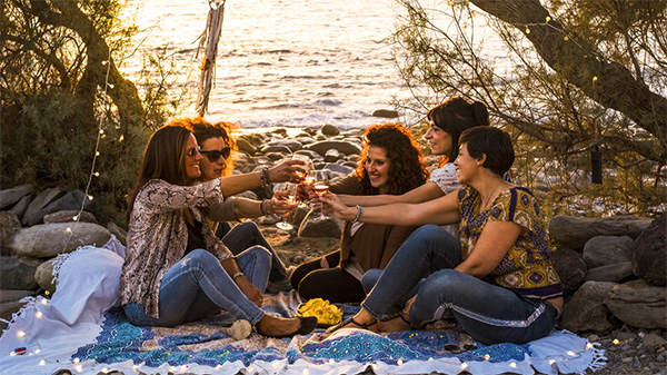 a group of people toast their glasses of wine while sitting on a picnic blanket